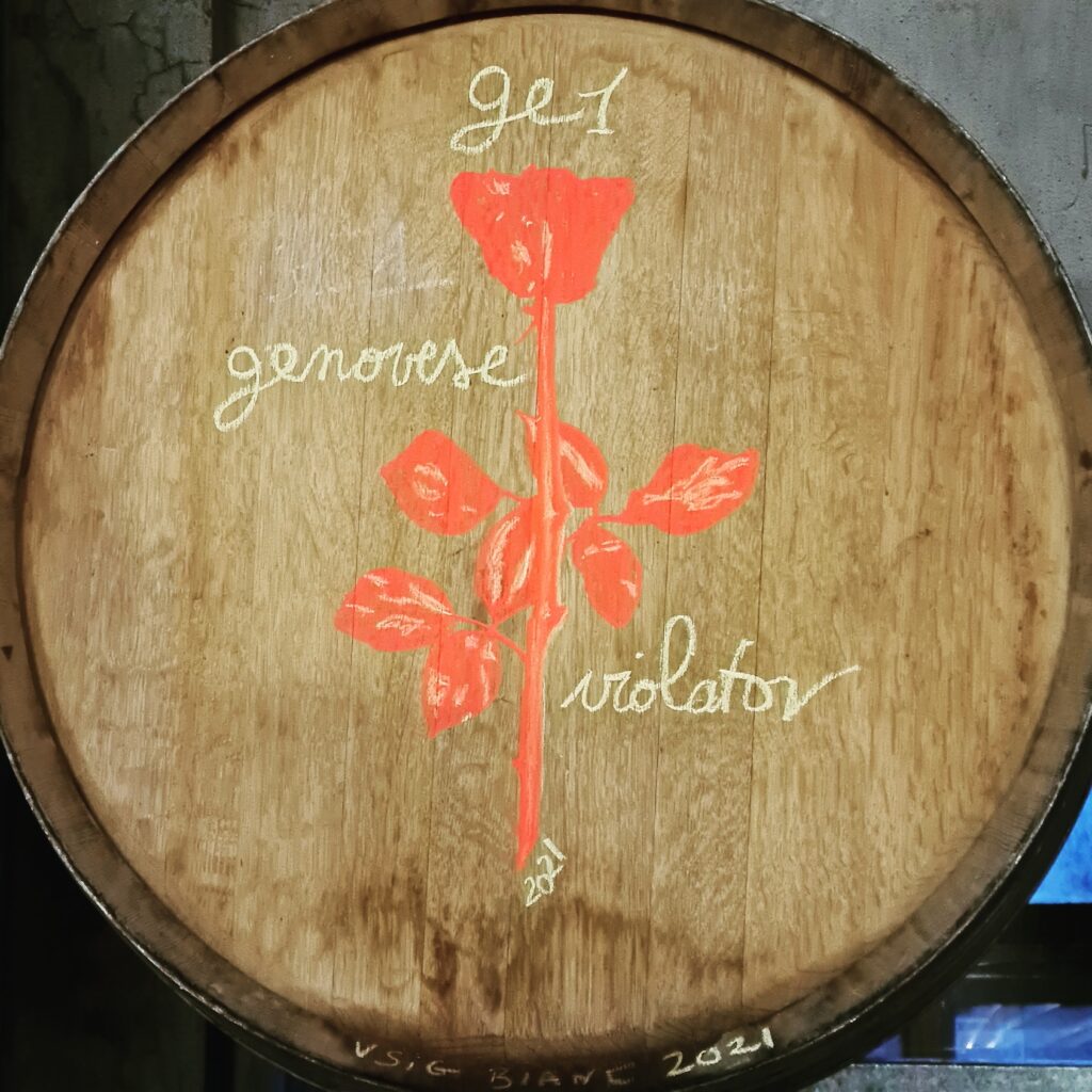 Clos Fornelli domaine viticole10