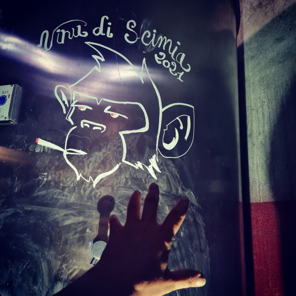 Clos Fornelli domaine viticole14